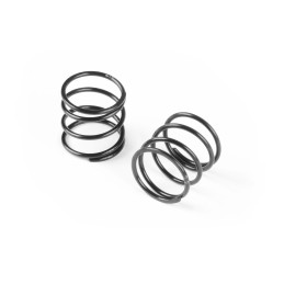 308179 - XLP SPRING-SET C2.9 (2)