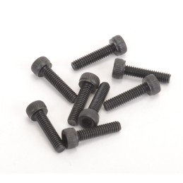 U4837 - SPEED PACK M2.5x10 Cap Hd (pk8)