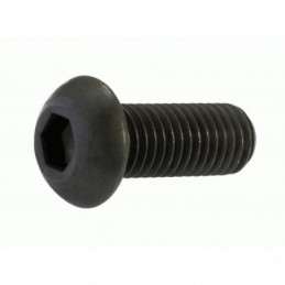 Vite M3x15 testa tonda (2)