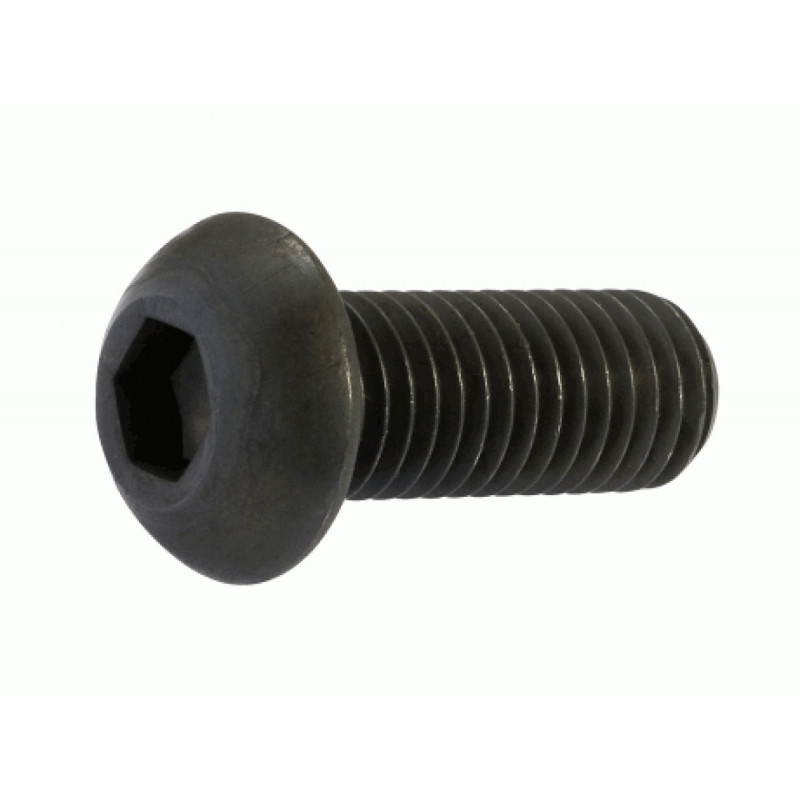 Vite M3x15 testa tonda (2)