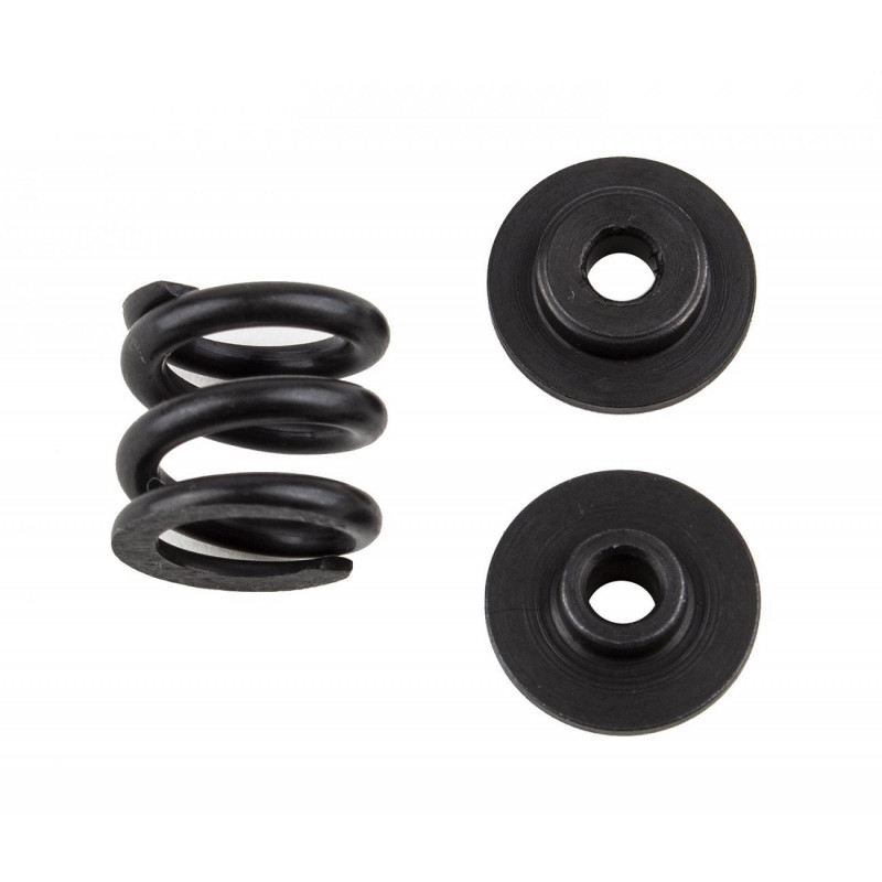 AE91891 - RC10B6.3 HD Slipper Spring and Adapters