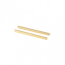 U7406 - Titanium Rear Inboard Pivot Pin - CAT L1 (pr)