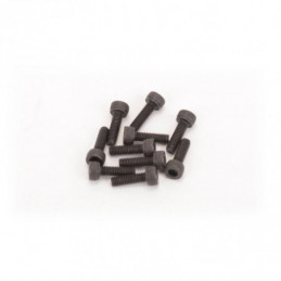 U7113 - SPEED PACK - M3x10 Cap Hd (pk10)