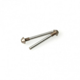 U3715 - Pivot Pin Screw Type 25mm pr