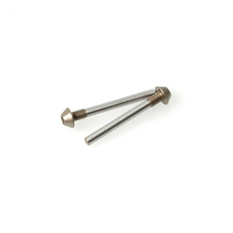 U3715 - Pivot Pin Screw Type 25mm pr