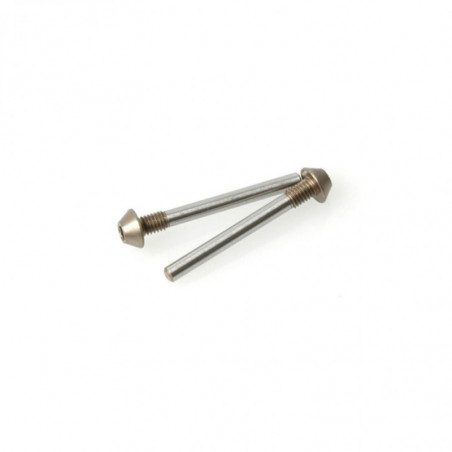 U3715 - Pivot Pin Screw Type 25mm pr