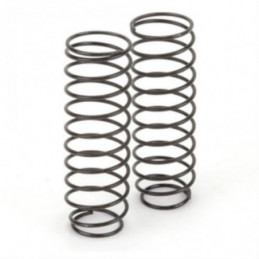 U3684 - Big Bore Spring Long - 2.5 pr