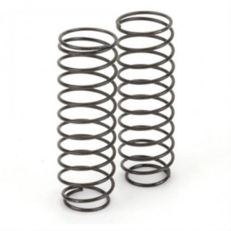 U3684 - Big Bore Spring Long - 2.5 pr