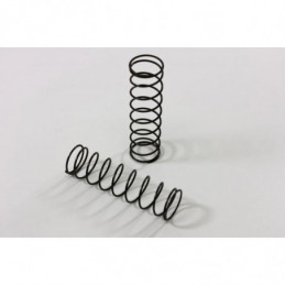 TU0260-R - Molle posteriori dure per Big Bore buggy