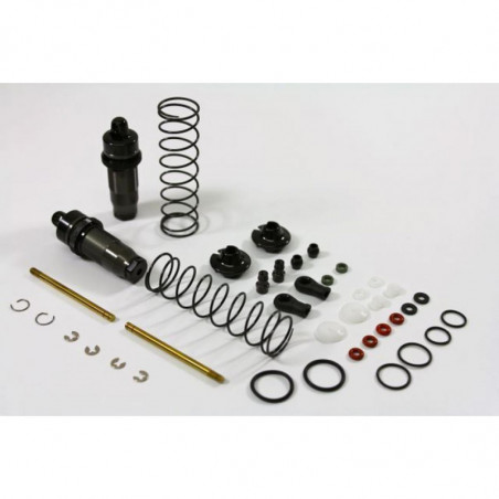 TU0252 - Ammortizzatori big bore posteriori buggy 2WD e 4WD