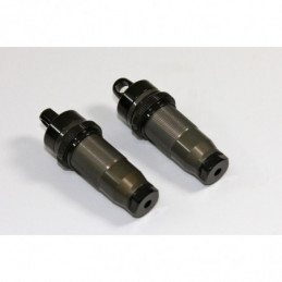 TU0250-4 - Coppia corpi ammortizzatori posteriori Big Bore