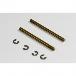 TU0250-2 - Steli ammortizzatori big-bore posteriori buggy