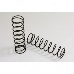 TU0250-10R - Molle posteriori medie per Big Bore buggy