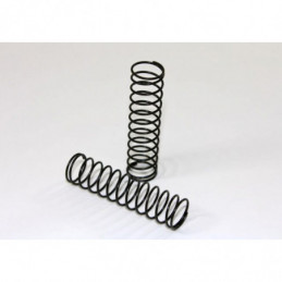 T02072 - Molle posteriori standard per buggy 2WD