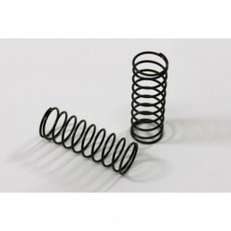 T02071 - Molle anteriori standard per buggy 2WD