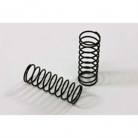 T02071 - Molle anteriori standard per buggy 2WD