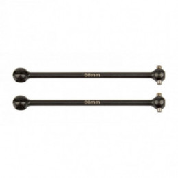 AE92212 - RC10B74 CVA Bone 66 mm