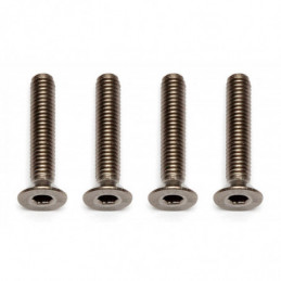 AE91596 - FT Ti Screws M3x16 mm FHCS