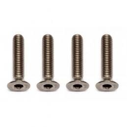 AE91595 - FT Ti Screws M3x14 mm FHCS