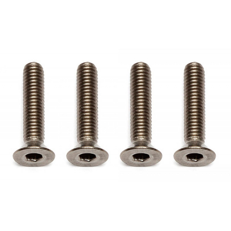 AE91595 - FT Ti Screws M3x14 mm FHCS