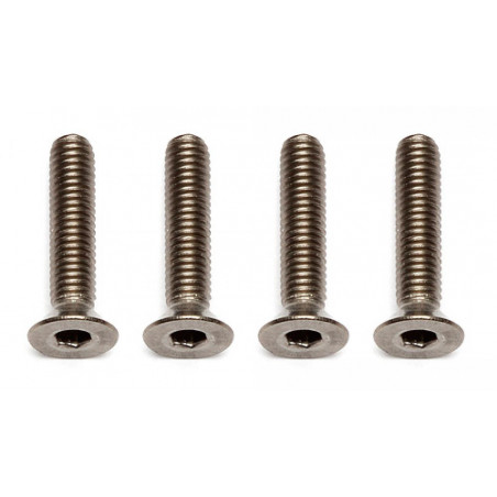 AE91595 - FT Ti Screws M3x14 mm FHCS