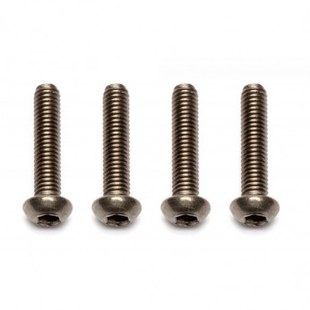 AE91584 - FT Ti Screws M3x14 mm BHCS