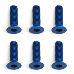 AE8555 - FT Screws Blue Aluminum M3x10 mm FHCS