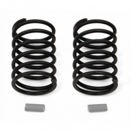 AE31716 - FT Gray Springs 15.0 lb