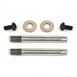 AE31688 - Shock Shafts
