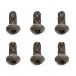 AE31520 - Screws 2.5x0.45x6 mm BHCS