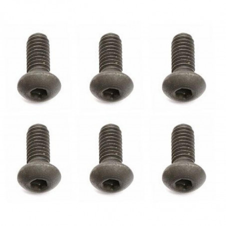 AE31520 - Screws 2.5x0.45x6 mm BHCS