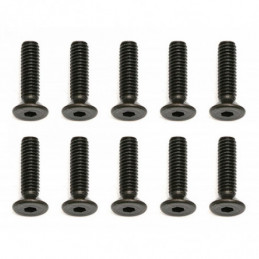 AE31350 - Screws M2.5x10 mm FHCS