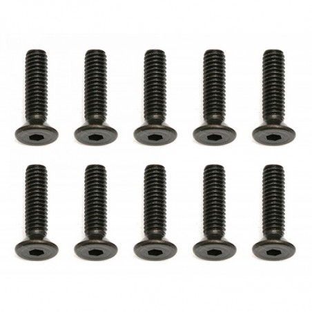 AE31350 - Screws M2.5x10 mm FHCS