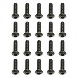 AE25211 - Screws 3x10 mm BHCS