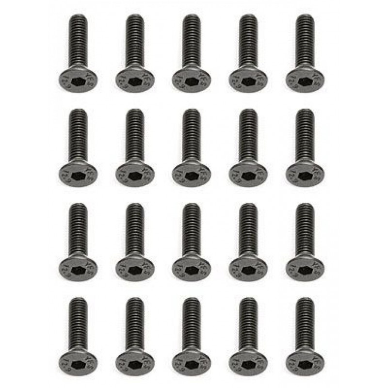 AE25203 - Screws 3x12 mm FHCS