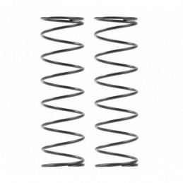 368286 - Rear Spring-Set - 3 Dots (2)