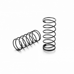 368195 - Front Spring Set L42mm - 5 Dots (2)