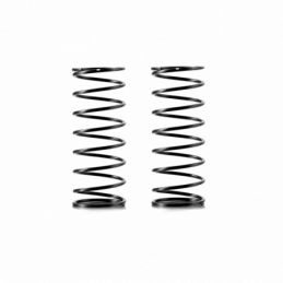 368183 - Front Spring Set - 1 Dot (2)