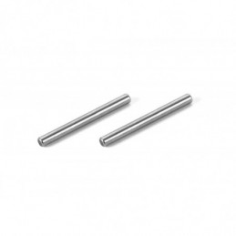 367320 - Rear Arm Pivot Pin (2)