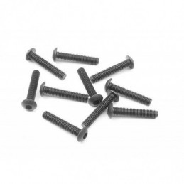 902316 - HEX SCREW SH M3x16 (10)