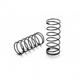 368194 - FRONT SPRING-SET L42MM - 4 DOTS (2)