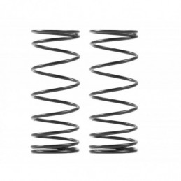 368174 - Front Spring-Set Progressive - 2 Stripes (2)