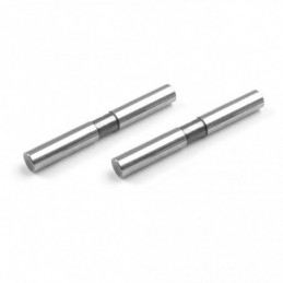 307321 - Rear Arm Pivot Pin (2)