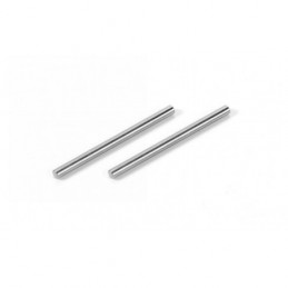 307217 - Titan Suspension Pivot Pin (2)