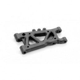 303169 - Composite Rear Susp. Arm 1-Hole - Graphite