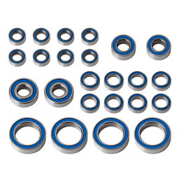 AE91989 - RC10B6.4 FT Bearing Set