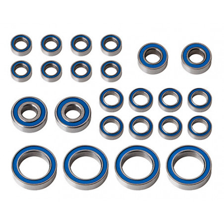 AE91989 - RC10B6.4 FT Bearing Set