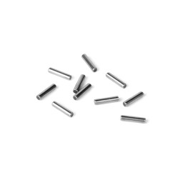 980209 - Pin 2x8.8 (10)