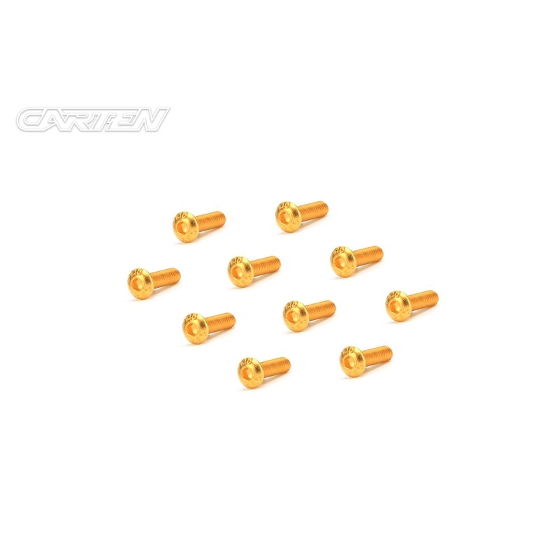 GBH2508 - CARTEN Screw Set 12.9- BH M2,5x8(Gold Coating) (10)