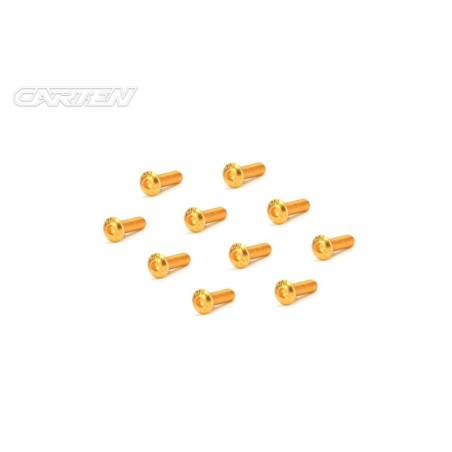 GBH2508 - CARTEN Screw Set 12.9- BH M2,5x8(Gold Coating) (10)